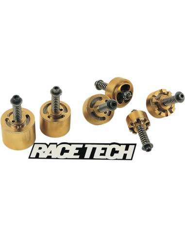 RACE TECH GOLD VENTILPATRONE EMULATOR KIT SCHMUTZ