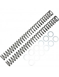 RACE TECH GABELFEDERSATZ