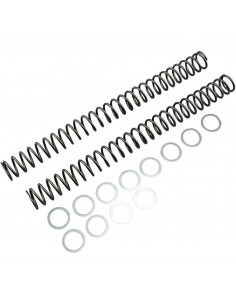 RACE TECH GABELFEDERSATZ