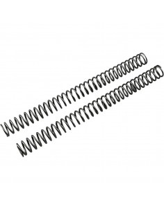 RACE TECH GABELFEDERSATZ