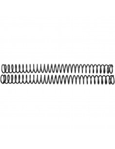 RACE TECH GABELFEDERSATZ