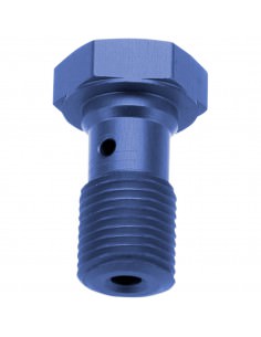 TRW HOHLSCHRAUBE M10X1.00 BREMBO ALUMINIUM BLAU