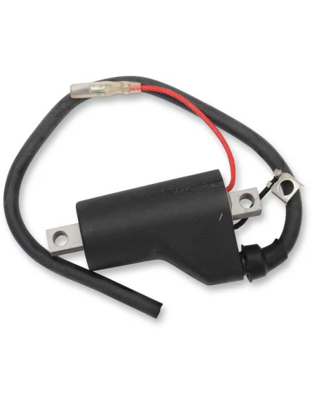 PARTS UNLIMITED Anlasser & Zündung für POLARIS STORM 800 1996-1998
