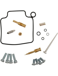 Vergaser Reparatursatz
