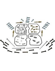 Vergaser Reparatursatz