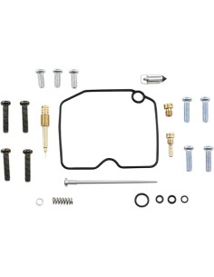 Vergaser Reparatursatz
