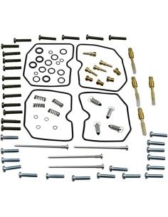 Vergaser Reparatursatz