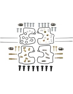 Vergaser Reparatursatz