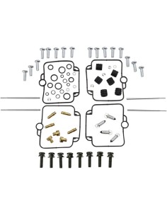 Vergaser Reparatursatz