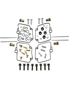 Vergaser Reparatursatz