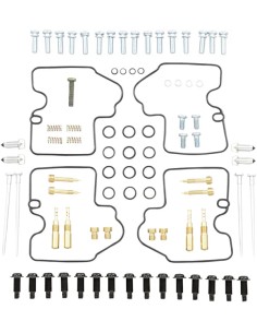 Vergaser Reparatursatz