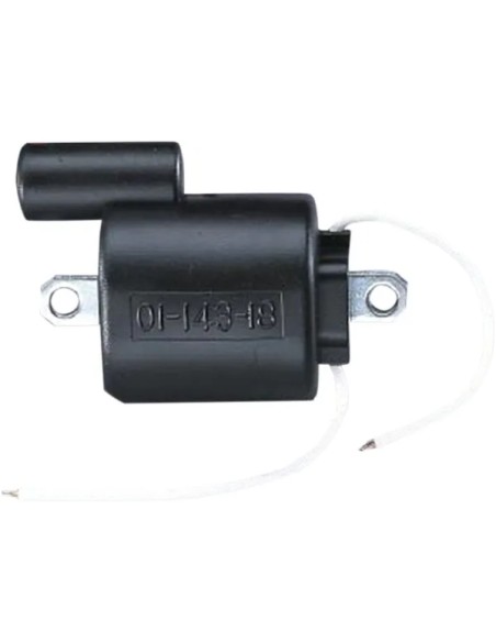 PARTS UNLIMITED Anlasser & Zündung für SKI-DOO (BRP) RV 340 1977-1978