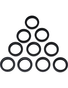 Gabeldichtringe/Staubdichtringe, 10er-Pack
