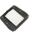 OEM Ersatz-Luftfilter für Indian
