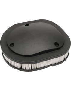 OEM Ersatz-Luftfilter für Indian