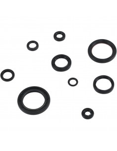 MOOSE RACING DICHTUNGSSATZ MOTOR HON 2