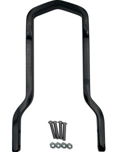 Quadratische Sissy Bar