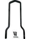 Quadratische Sissy Bar