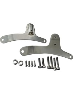 Sissy Bar Seitenplatten