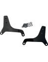 Sissy Bar Seitenplatten