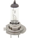 Halogen-Scheinwerferlampe