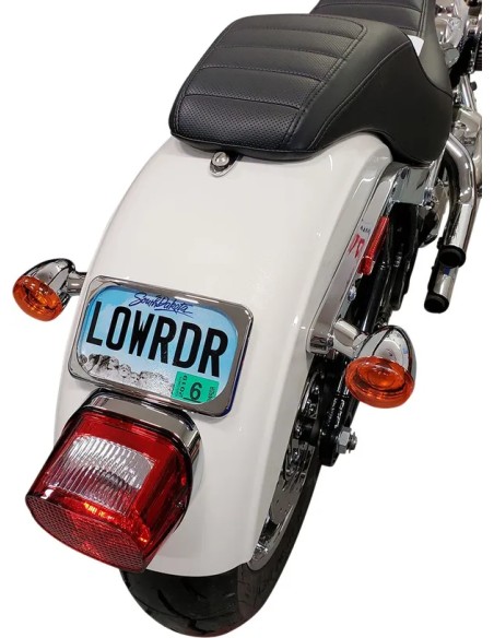 DRAG SPECIALTIES Kennzeichen - MOUNT LIC PLT RADIUS WIDE