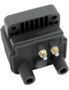 12 Volt Mini Dual-Fire Zündspule