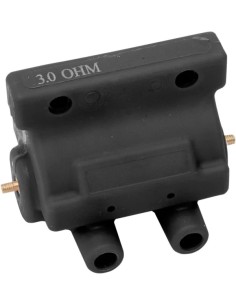 12 Volt Zündspule