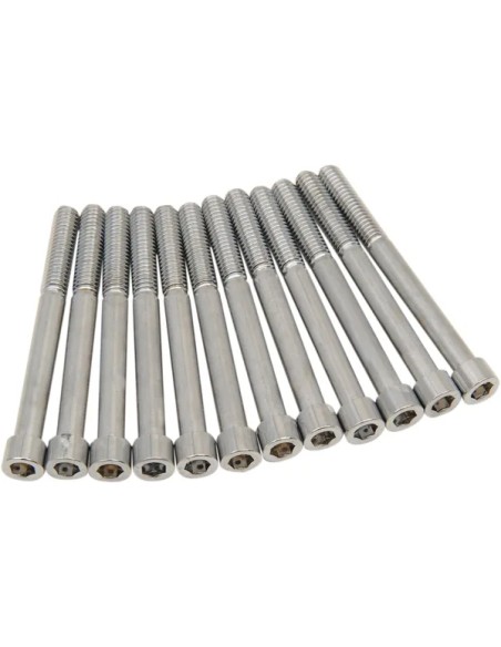 DRAG SPECIALTIES Montagematerial & Zubehör für Harley Davidson FLHTK 1868 ABS 2019-2024