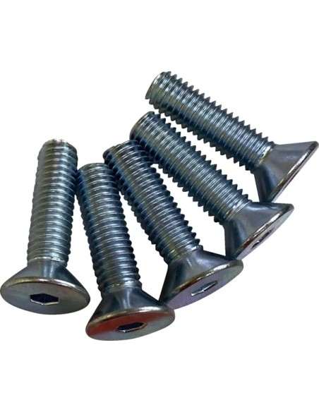 DRAG SPECIALTIES Montagematerial & Zubehör - SCREWS RTR 3/8-16CS SKT