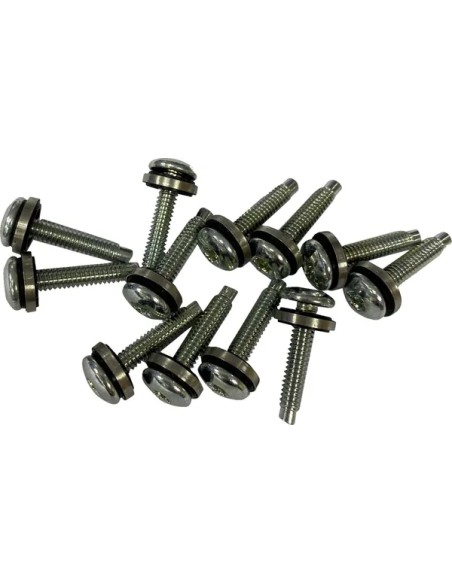DRAG SPECIALTIES Montagematerial & Zubehör - SCREW EFI MNT(1331) 12PK