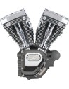 T124 Low Compression Long Block Motor