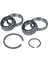 Timken® Ritzelwellenlager