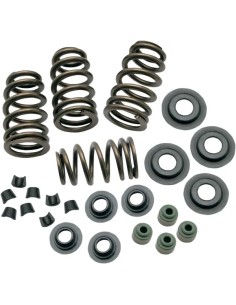 0,650" Sidewinder® Ventilfeder-Kit