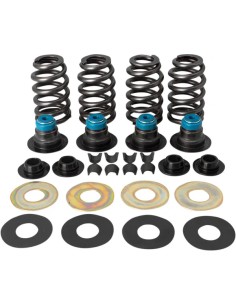 0,585" Street Performance Ventilfeder-Kit