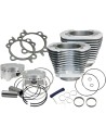 Einschraubbare Sidewinder® 4" Big Bore-Kits