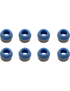 Ventilführungs-Dichtungen
