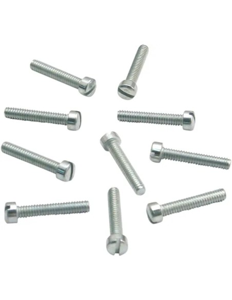 S&S CYCLE Vergaser - SCREW IDLE SPD 10PK