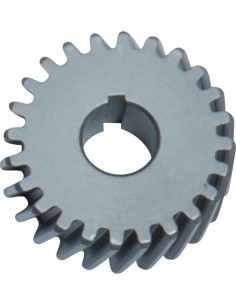 Ölpumpenantriebszahnräder