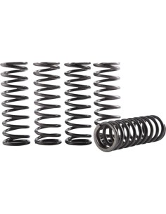 Hochtemperatur-Kupplungsfedern-Kit