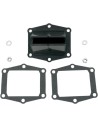 V-Force 3 Reed Valve Set