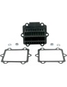 V-Force 3 Reed Valve Set