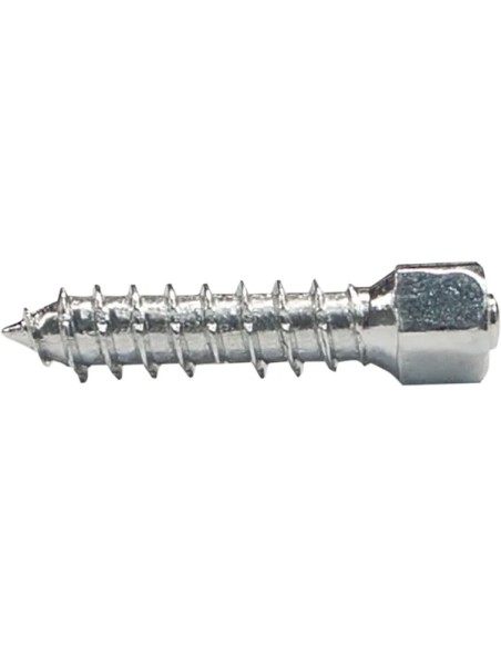 WOODY'S Tools - SCREWS TWIST 25MM 100PK