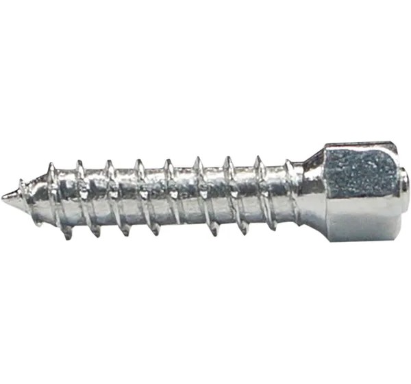 WOODY'S Tools - SCREWS TWIST 25MM 100PK