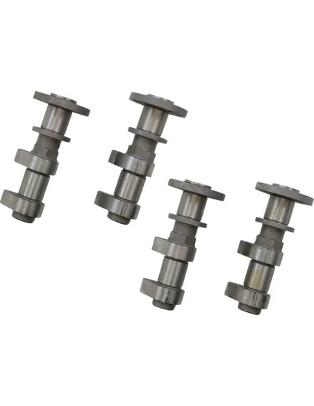 ANDREWS Ventilsteuerung für INDIAN FTR 1200 ABS 2019-2022