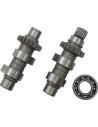Nockenwellen-Set für Kettenantrieb