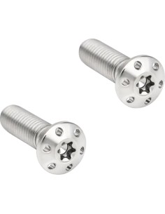 Bremssattel-Befestigungsschrauben