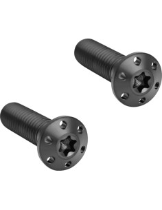 Bremssattel-Befestigungsschrauben