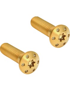 Bremssattel-Befestigungsschrauben