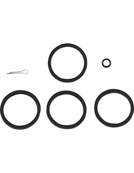 ARLEN NESS Bremssattel - REBUILD KIT 4 PI CALIPER